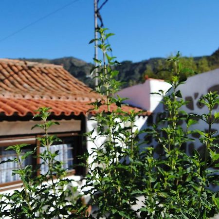 Ilusiones Villa Tejeda  Exterior photo